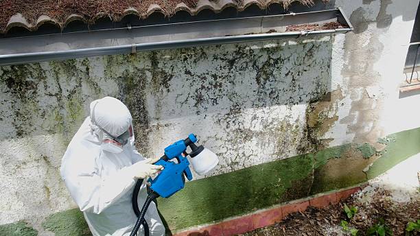 Trusted Commercial Mold Remediation service in Oakdale, PA - Cheap Mold Removal